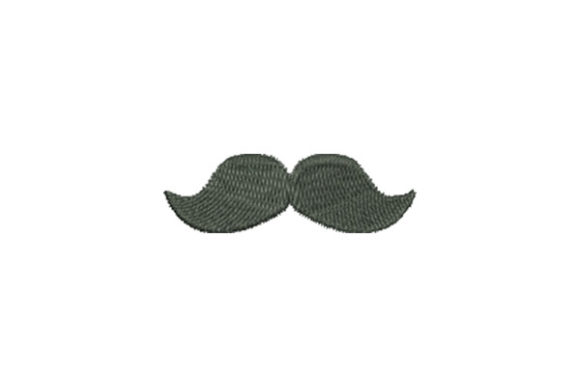 Moustache with Grey Hair